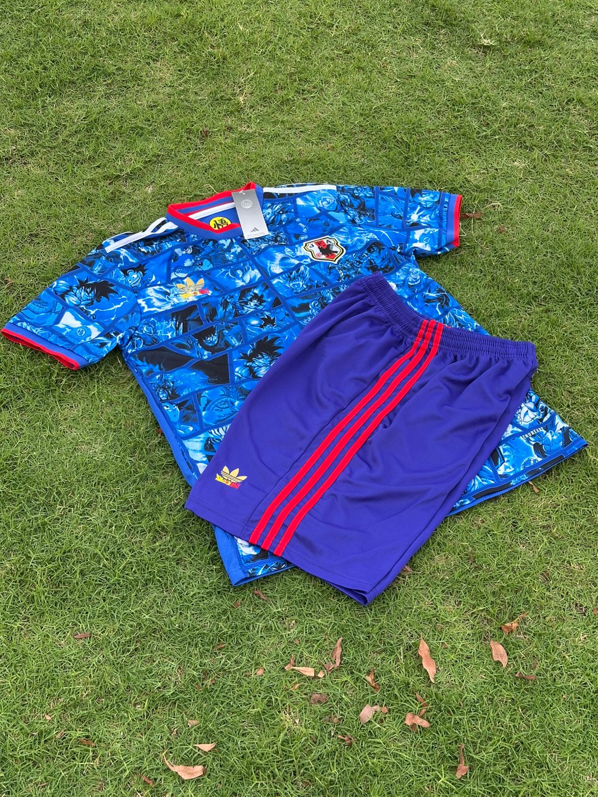 Japanese X Dragon Ball Z kit